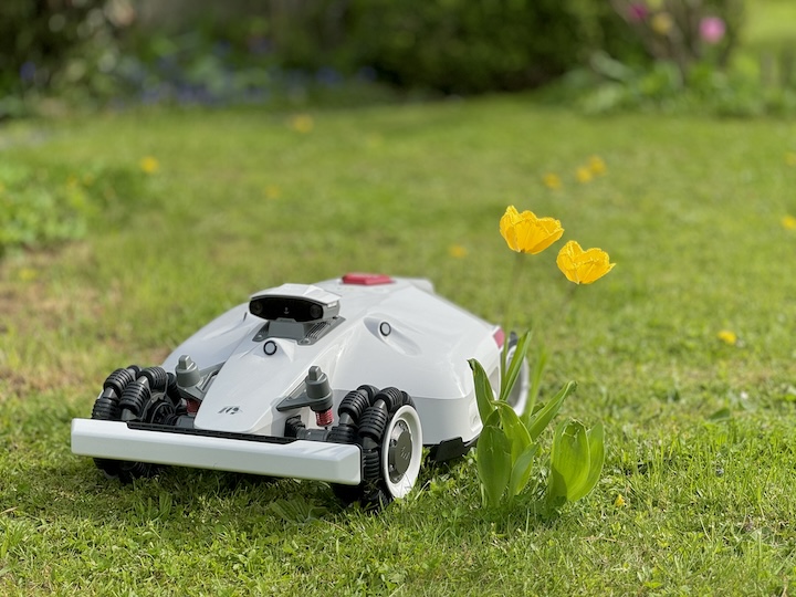 Ein Roboter maeht um eine Tulpe herum