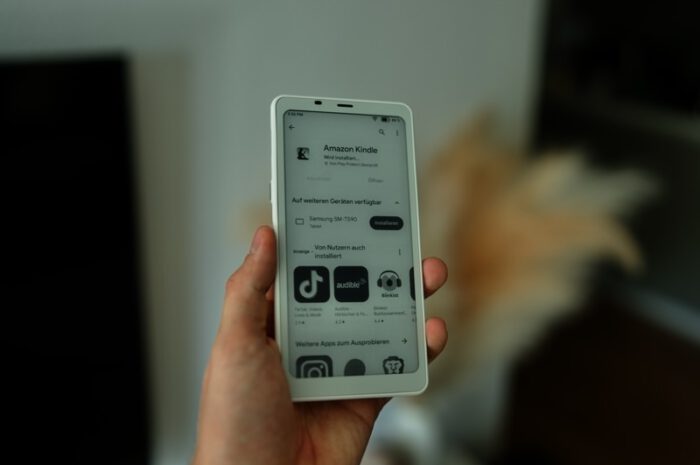 BOOX Palma ePaper Reader Test: Der E-Book-Reader im Smartphone-Format