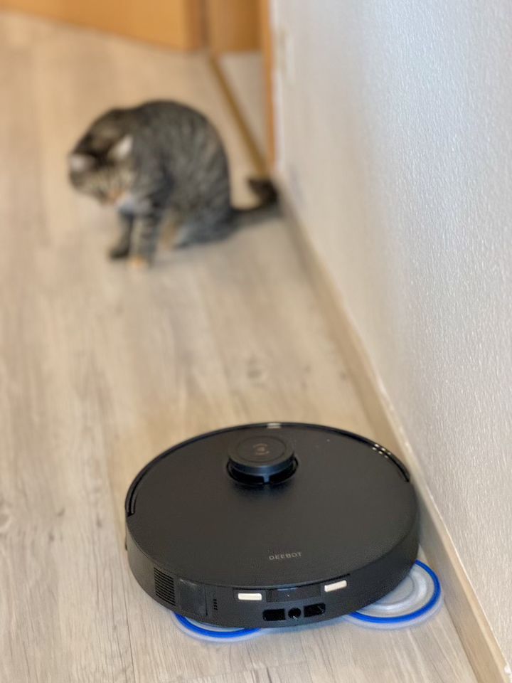 ECOVACS DEEBOT T30S PRO reinigt Kanten vor einer Katzen