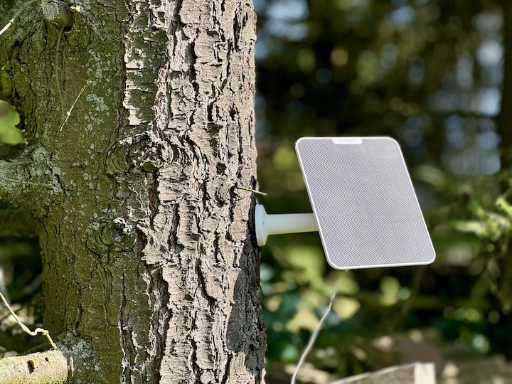 Solarpanel an einem Baum 1